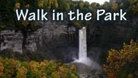 See all our videos on our Walk in the Park YouTube channel