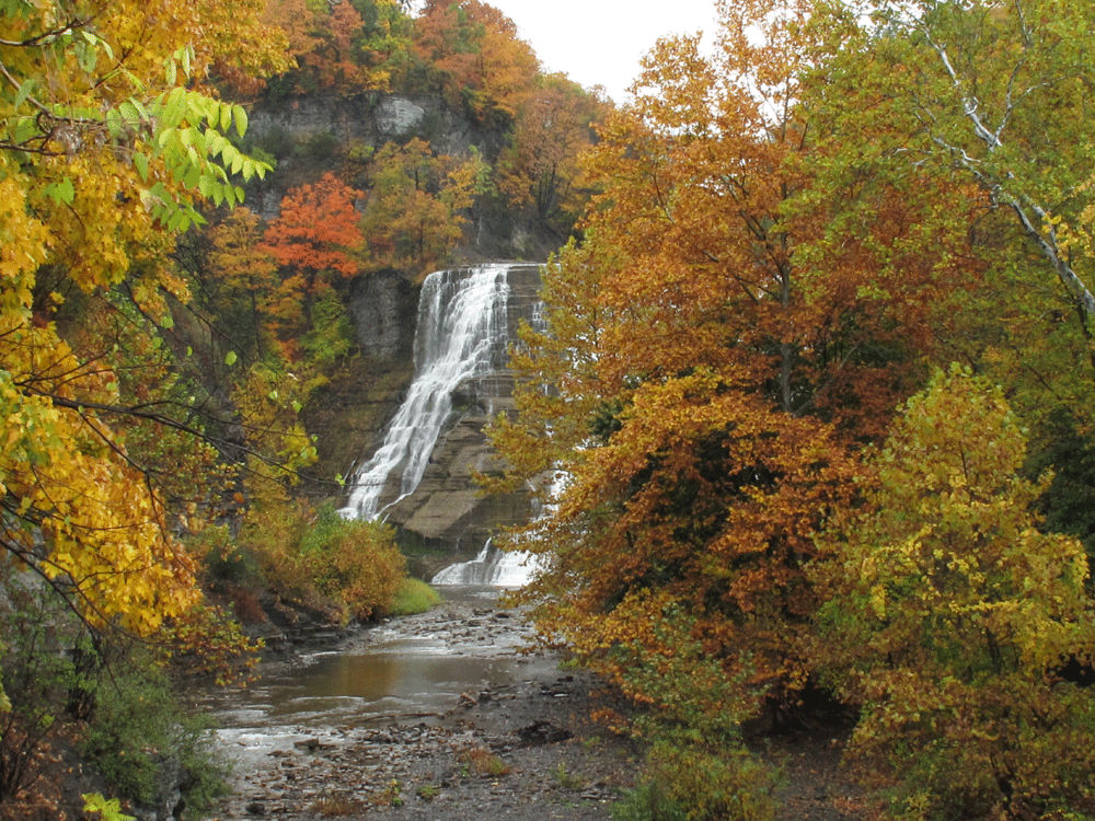 7 Things to do in Ithaca This Fall | Her Campus